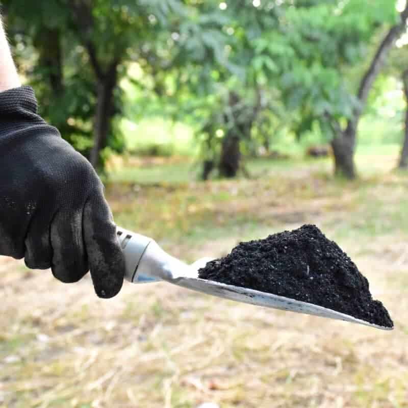 Carbón Activado en Polvo